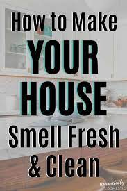 How To Keep Your House Smelling Good Always 23 Genius Hacks House Smell Good House Smell House Cleaning Tips