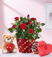 We did not find results for: Flower Delivery In Usa Send Flowers To Usa From 1 Florist Floweraura