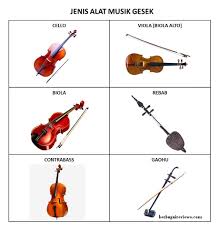 Suara biola dengan ekspresi musikal banyak digunakan dalam musik orkestra untuk menghasilkan nada yang tinggi dan menakjubkan dalam jumlah yang besar. Alat Alat Musik Berdasarkan Cara Memainkannya Serta Contoh Dan Gambar Alat Musik Musical Instrument Berbagaireviews Com