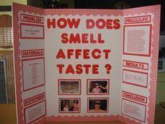 Biology Science Fair Projects For 8th Grade Easy Science Fair Projects For 8th Graders Google Search Easy Science Fair Projects High School Science Fair Projects School Science Projects
