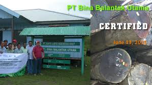 Welcome to pt borneo lumbung energi & metal tbk. Pt Gema Hutani Lestari Becomes The Latest Fsc Success Story