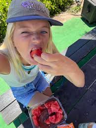 Roommate Wanted in Encinitas, CA, for 4-Bedroom House