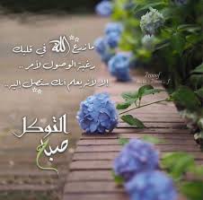 Pin By Aseel On صباح مساء Beautiful Morning Morning Images Image