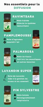 Epingle Sur Comprendre Les Huiles Essentielles