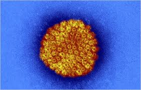 Herpes Tests Are Not Always Accurate The New York Times