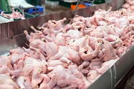 Kjn fdsbing food quiz qkrew r hgo twekr. Chicken Wings Imported From Brazil Test Positive For Covid 19 In China Sa411