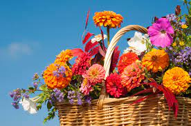 Check spelling or type a new query. Black Friday Holiday Flowers Sale Send Flowers Online Holiday Flower Flowers Online