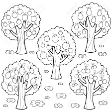 One of the most important factors to consider when making a calamansi tree give fruit is the region in which it is being grown. Fruit Trees Black And White Coloring Book Page Royalty Free Cliparts Vectors And Stock Illustration Image 101023660