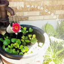 No one comes along to clean the pond or to aerate it. Make A Container Water Garden For Your Patio Empress Of Dirt
