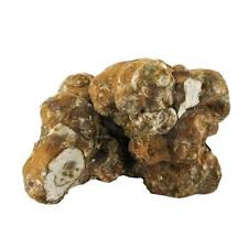 Kommentieren sie als erster und gewinnen sie preise. Magic Truffles Psilocybe Utopia 15 Grams Kick Ass Trip