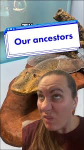 It’s a sucessful lineage! #paleontology #ancestors #fossils #yourinnerfish  #evolution #greenscreen
