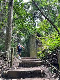Visiting nature park like this gives you a cooling effect especially early in the morning. Bukit Timah Nature Reserve Explore Singapore Hidden Nature Gem Aspirantsg Food Travel Lifestyle Social Media