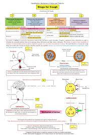 Pin On Pharma