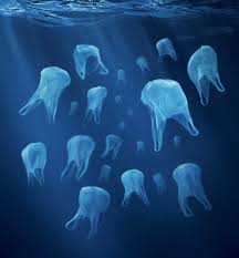 Les Nouvelles Meduses De L Ocean Plastic Bag Plastic Pollution Plastic Shopping Bags