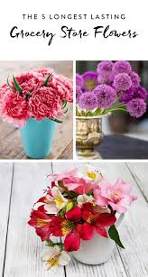 While buying flowers especially bouquet, you should always have an idea as to which flowers last the longest. Discover These 5 Beautiful And Hardy Varieties All Of Which Have An Impressive Vase Life Of Two Flower Arrangements Diy Flower Arrangements Long Lasting Flower