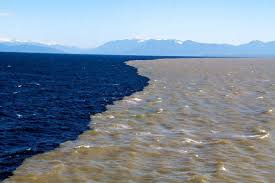 How does the river water and the ocean water mix when they meet? - Quora