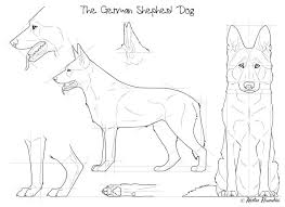 The German Shepherd Dog By Maranez On Deviantart German Shepherd Art German Shepherd Painting Dog Art