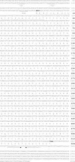 Tried linegae, nexus and stock from. Cloning Sequence Analysis And Expression Of Gene Alypi Encoding An Alginate Lyase From Marine Bacterium Pseudoalteromonas Sp Cy24