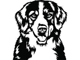 Bernese Mountain Dog Clipart Black And White Bernese Mountain 22 Dog Smiling Happy Breed Puppy K 9 Etsy In 2020 Dog Drawing Smiling Dogs Bernese Mountain