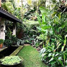 Cool Tropical Backyard Garden Stylendesigns Com Tropical Landscape Design Tropical Backyard Tropical Garden Design