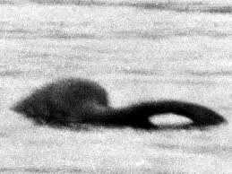 The loch ness monster, or nessie (scottish gaelic: Is This Mystery Sea Creature The Loch Ness Monster Perthnow