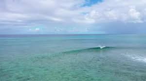 Maybe you would like to learn more about one of these? Celebrity Austin Keen Surfs With Dolphin In A Wild Ocean Ride In Paradise