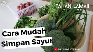 Lain kali nak kena cari cara menyimpan sayur dan barang basah yang betul dalam. Tips Simpan Sayur Tahan Lebih Lama Jika Peti Ais Kecil 9 Youtube