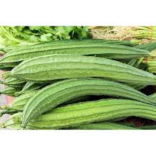 Image result for Luffa acutangula