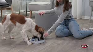 Well, this diy dog puzzle may do the trick! 19 Of The Best Interactive Puzzles And Games For Your Bored Dog