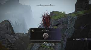 How to find the Black Wolf Mask in Elden Ring