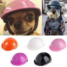 Small Dog Helmet Www Allsortzstores Com Dog Helmet Rope Dog Dog Toys