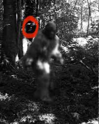 Bigfoot spotted at the Grand Traverse Mall