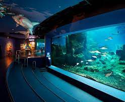 istanbul akvaryum istanbul seyahat rehberi seyahat