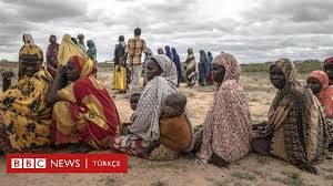 In addition to somali, arabic, which is also an afroasiatic tongue, is an official national language in somalia. Turkiye Somali Nin Imf Borcunu Neden Odedi Karar Afrika Politikasi Acisindan Ne Anlama Geliyor Bbc News Turkce
