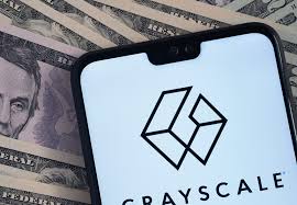 This is shown in blue on the chart below. Grayscale Investment Fund Is Interested In New Cryptocurrencies Like Defi Aave Polkadot Cardano Or Monero Bitcoin Crypto Advice