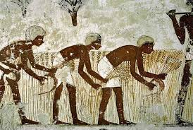 Egypt Day Tours And Egypt Travel Egypt Nile Agriculture Irrigation System Ancient Egyptian Ancient Egyptian Art Ancient Egypt