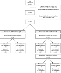 Maternal blood and umbilical cord blood (herein referred to as infant) were retrieved from specimens submitted for blood antibody transfer after maternal coronavirus disease 2019 vaccination. The Effect Of Maternal Immunisation During Pregnancy On Infant Vaccine Responses Eclinicalmedicine