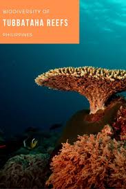 There S A Rarely Visited Protected Natural Park In The Sulu Sea That Is One Of The Great Ecological Biodiversity Traveling By Yourself Southeast Asia Travel