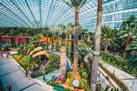 Gardens by the bay, the newest singapore attractions in 2012, is located in the heart of marina bay and aims to become the world's most premier tropical garden. Singapur Gardens By The Bay Mbs Observation Deck Getyourguide