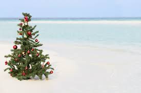 Check out our christmas in july selection for the very best in unique or custom, handmade pieces from our shops. Why Do Australians Celebrate Christmas In July Pigram Brothers