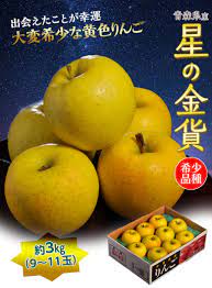 星の金貨』 青森県産 希少りんご 約3kg（9〜11玉）特Ａ ※常温｜豊洲市場ドットコム