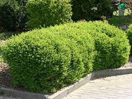 Pin Auf Garten