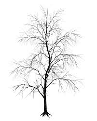 Dark Trees Png Stock 09 Tree Drawing Dark Tree Photoshop Landscape