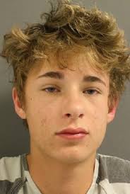 Driver in fatal Carbondale crash pleads guilty