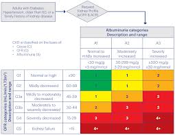 Chronic Kidney Disease Change Package National Kidney