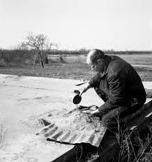 Image result for jackson pollock
