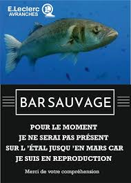 Il s'est trouvé à un moment que je ne sois pas disponible, et c'est cuba qui a dirigé le comité durant presque toute l'année. Carrefour On Twitter Oui Nous Partageons Une Affiche De Bonsplansleclerc La Lutte Contre La Surpeche Nous Concerne Tous Dans Nos Magasins Non Plus Le Bar Sauvage Ne Sera Pas Disponible En