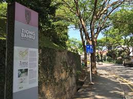 Born in malacca in 1798 to an immigrant hokkien father and peranakan mother, tan tock seng rose from humble origins. Tan Tock Seng S Grave At Outram