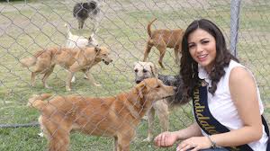 El Centro de Rescate Integral Animal CRIAR Riobamba trabaja en busca del  equilibrio entre la salud pública, el bienestar animal y la sostenibilidad  ambiental. Este albergue tiene como finalidad entregar en adopción