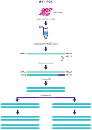 And what does it have to do with nuclear technology? Pcr Applications